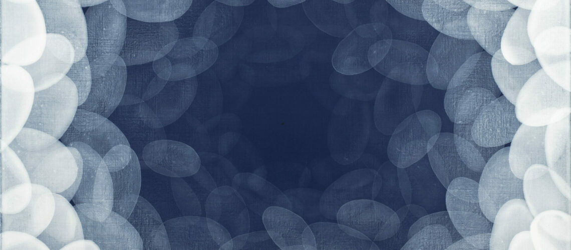 YVONNE BEHNKE POUR LES MONDES ANTICIPIS