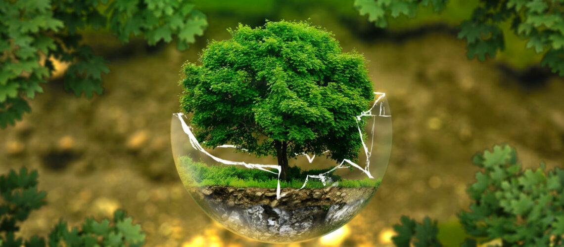 environmental-protection-326923_BANDO_01